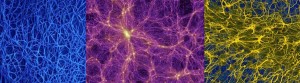 cropped-myc-matter-neurons