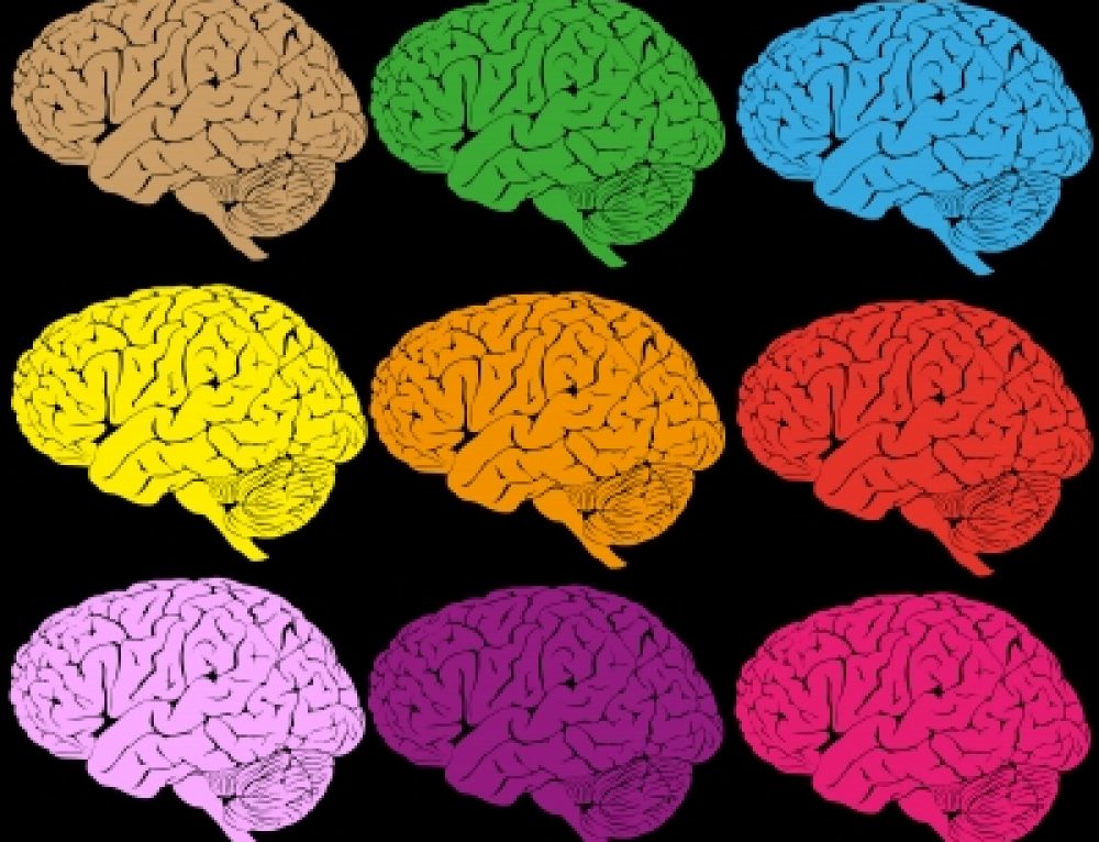 Color brain. Цвет человеческого мозга. Цветные мозги.
