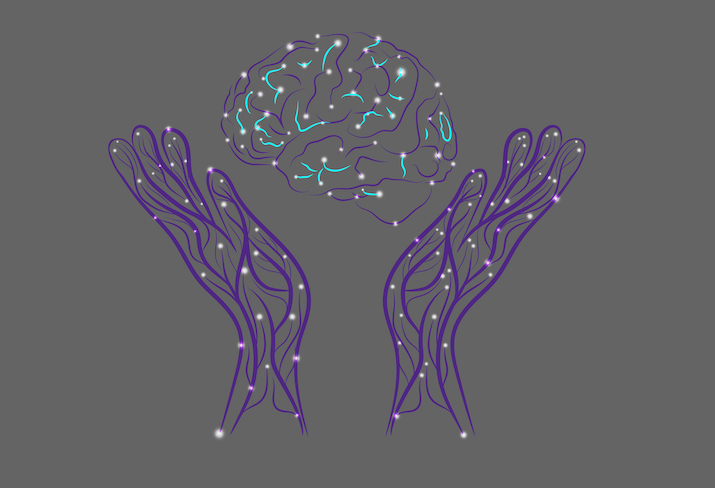 The human brain between two human hands.