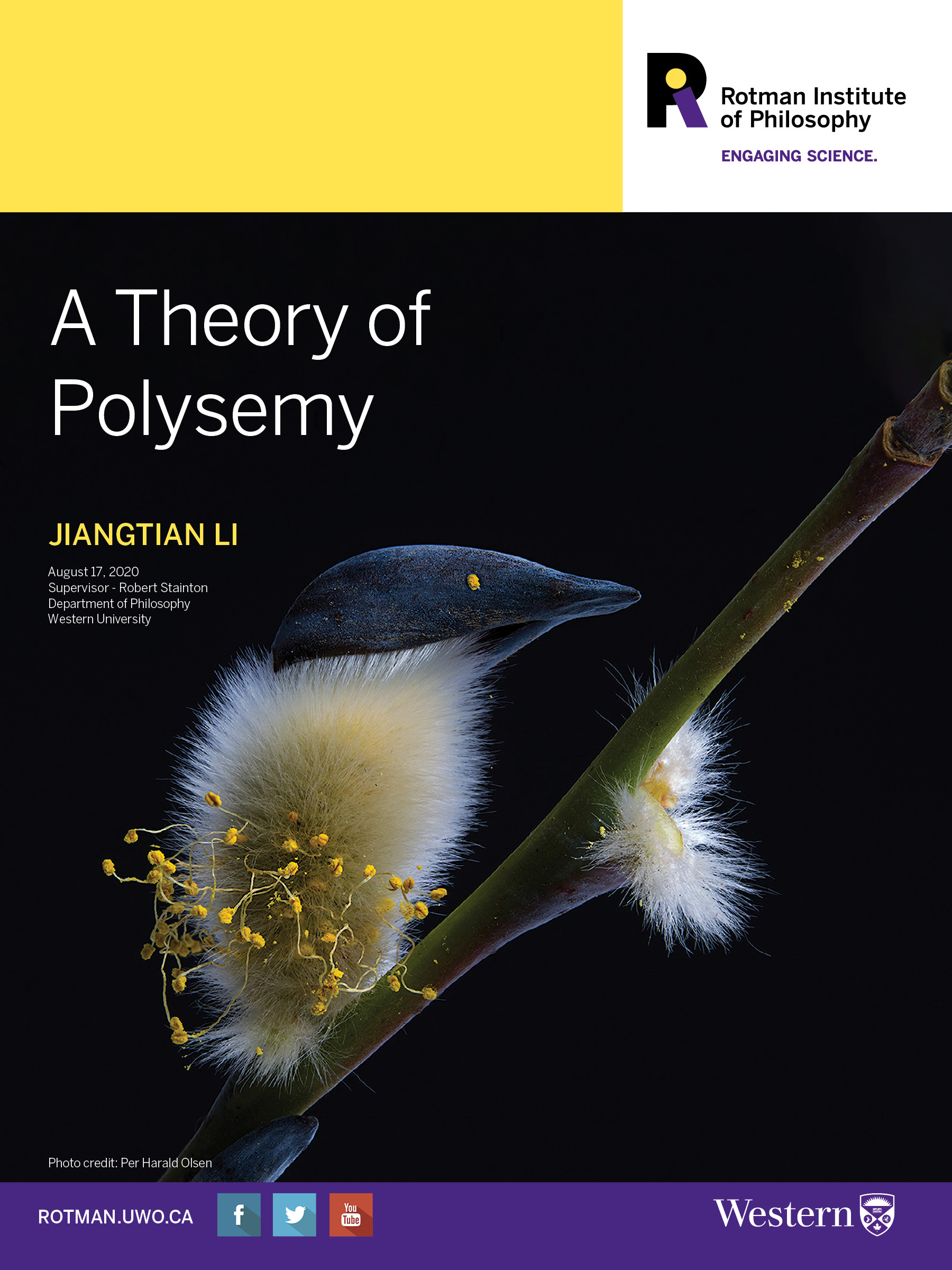 Thesis defence poster for Jiangtian Li