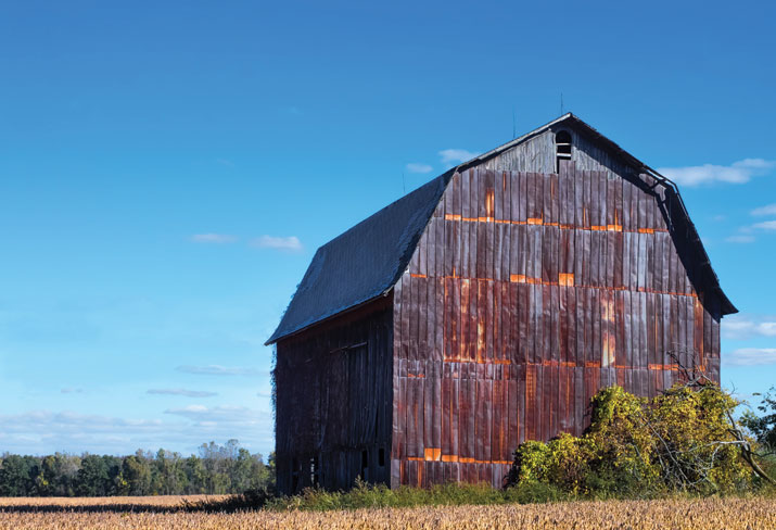 Barn in soy field