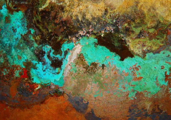 Rotman essay sample picture